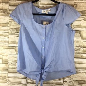 Pink rose large blue and white pin stripe top